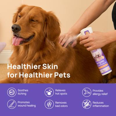 Show full view: HICC PET 2X Power Wound & Antimicrobial Cat & Dog Skin Treatment Spray, 10.1-fl oz bottle slide 3 of 11