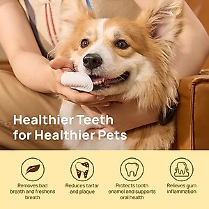 HICC PET Finger Glove Cat & Dog Dental Wipes, 50 count