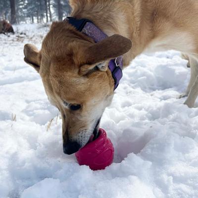 Show full view: SodaPup Honey Pot PUP-X Treat Dispenser Dog Toy, Pink, X-Large slide 7 of 8