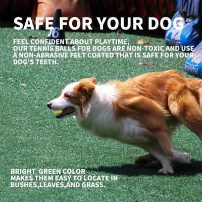 Show full view: allforpaws Interactives Maxi Ball Launcher Super Bounce Tennis Ball Dog Toy, Green, 6 count slide 9 of 9