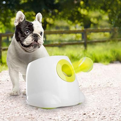 Show full view: allforpaws Interactives Mini Ball Launcher Super Bounce Tennis Ball Dog Toy, Green, 6 count slide 9 of 11