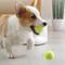 Show in main carousel: allforpaws Interactives Mini Ball Launcher Super Bounce Tennis Ball Dog Toy, Green, 6 count slide 3 of 11