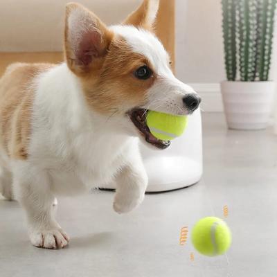 Show full view: allforpaws Interactives Mini Ball Launcher Super Bounce Tennis Ball Dog Toy, Green, 6 count slide 3 of 11