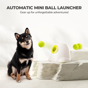 allforpaws Interactives Mini Ball Launcher Dog Toy, White