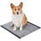 Show in main carousel: Glad for Pets Activated Carbon Dog Training Pads, 23 x 23-in, 30 count slide 5 of 5