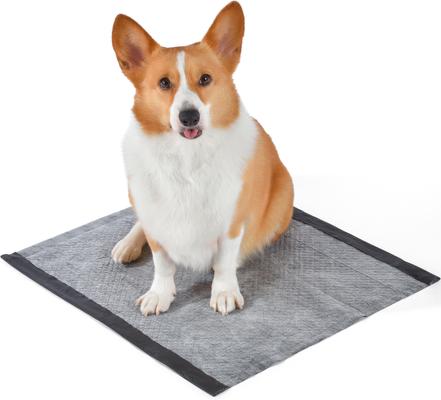 Show full view: Glad for Pets Activated Carbon Dog Training Pads, 23 x 23-in, 30 count slide 5 of 5