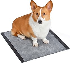 Glad for Pets Activated Carbon Dog Training Pads, 23 x 23-in, 100 count slide 2 of 5