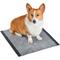 Show in main carousel: Glad for Pets Activated Carbon Dog Training Pads, 23 x 23-in, 100 count slide 5 of 5