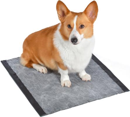 Show full view: Glad for Pets Activated Carbon Dog Training Pads, 23 x 23-in, 100 count slide 5 of 5