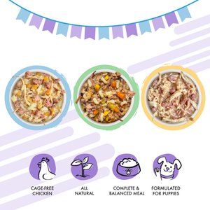 Weruva Puppy Can Jam Variety Pack Gluten-Free Chicken Chunks in Gravy Canned Wet Dog Food, 6-oz can, case of 9