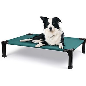 Heeyoo Elevated Cooling Dog Bed, Green, Large