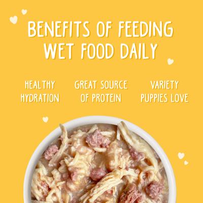 Show full view: Weruva Paw Lickin' Puppy Variety Pack Gluten-Free Chicken Chunks in Gravy Canned Wet Dog Food, 6-oz can, case of 9 slide 7 of 10