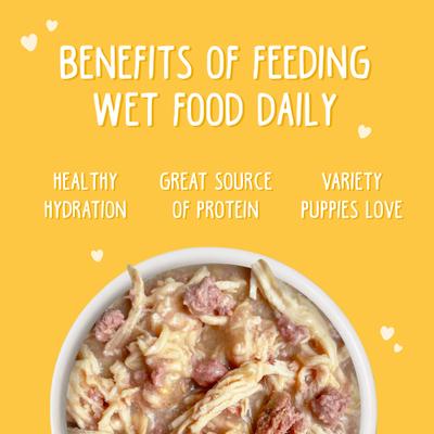 Show full view: Weruva Paw Lickin' Puppy Variety Pack Gluten-Free Chicken Chunks in Gravy Canned Wet Dog Food, 14-oz can, case of 9 slide 7 of 10