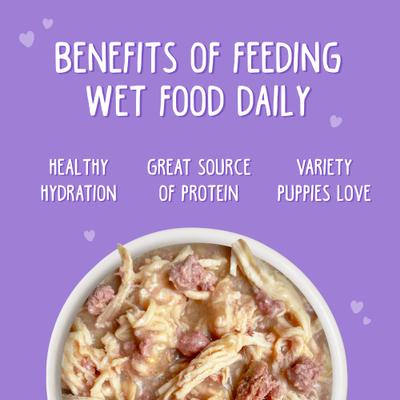 Show full view: Weruva Puppy Can Jam Variety Pack Gluten-Free Chicken Chunks in Gravy Canned Wet Dog Food, 14-oz can, case of 9 slide 7 of 10