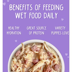 Weruva Puppy Can Jam Variety Pack Gluten-Free Chicken Chunks in Gravy Canned Wet Dog Food, 6-oz can, case of 9