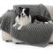 Show in main carousel: Bedsure Waterproof Dog & Cat Blanket, Warm Grey, X-Large slide 7 of 9