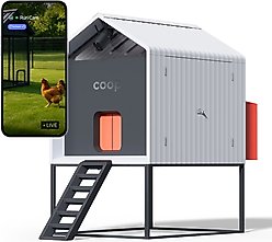 The Smart Coop Base Chicken Coop, 4 to 6 Chicken Capacity