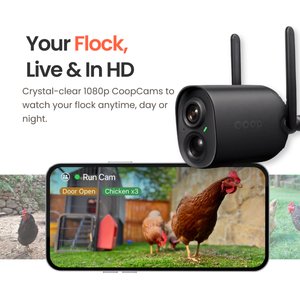 The Smart Coop Steel Run Chicken Coop, 4 to 6 Chicken Capacity