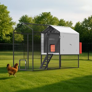 The Smart Coop Steel Run Chicken Coop, 4 to 6 Chicken Capacity