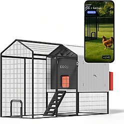 The Smart Coop Steel Run Chicken Coop, 4 to 6 Chicken Capacity
