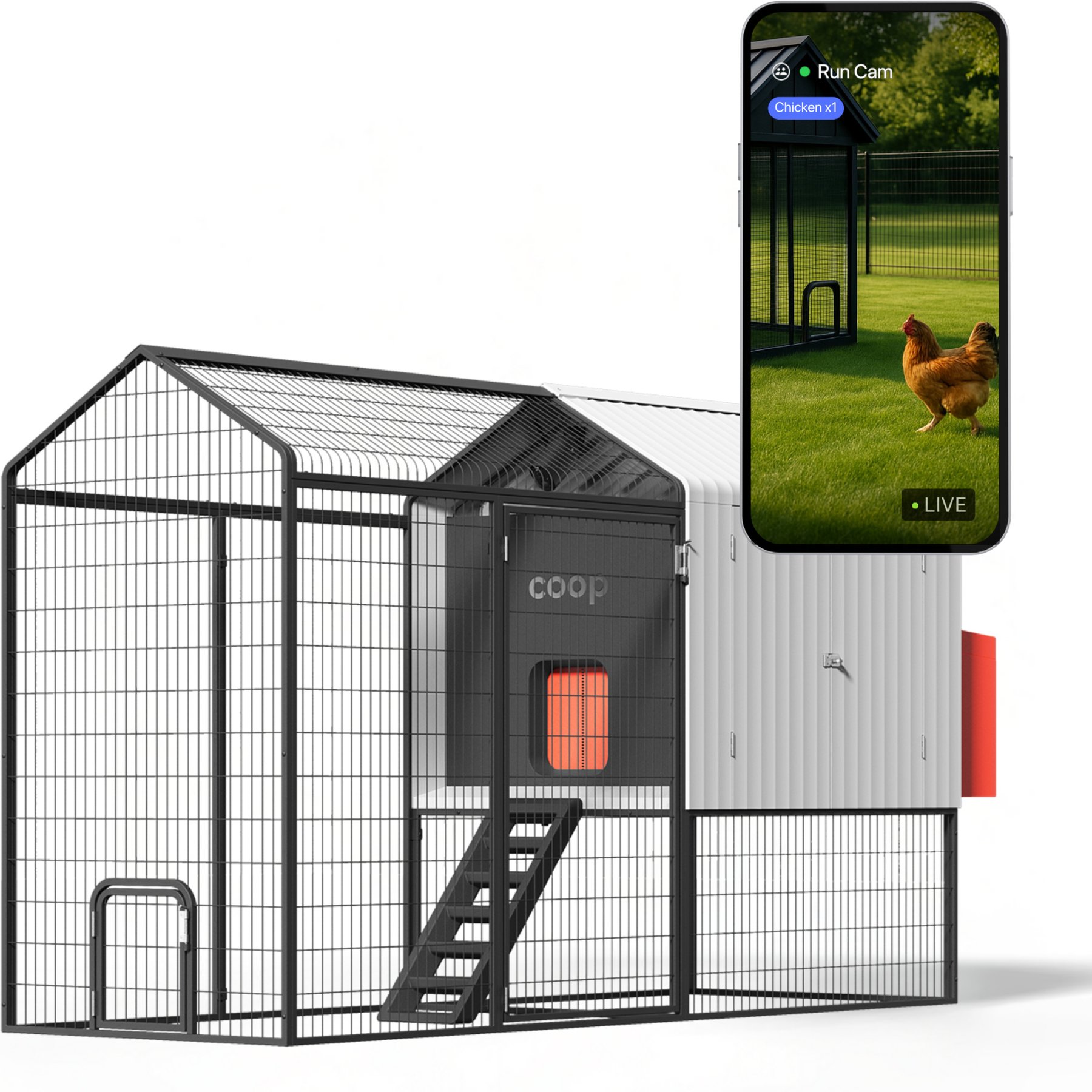 The Smart Coop Steel Run Chicken Coop, 4 to 6 Chicken Capacity