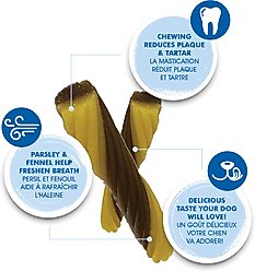 N-Bone FLOSSta Dual Action Peanut Butter Flavor Dental Dog Chews, 1 count slide 2 of 6