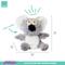 Show in main carousel: FuzzYard Kana Koala Squeaky Plush Dog Toy, Small slide 4 of 5