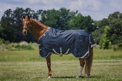 Centaur TZERO Horse Turnout Sheet, Navy, 81