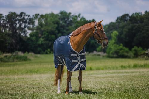 Show full view: Centaur TZERO Horse Turnout Sheet, Navy, 72 slide 2 of 5