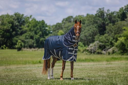 Show full view: Centaur T Series Horse Turnout Neck Cover 200G, Navy, Cob slide 2 of 3