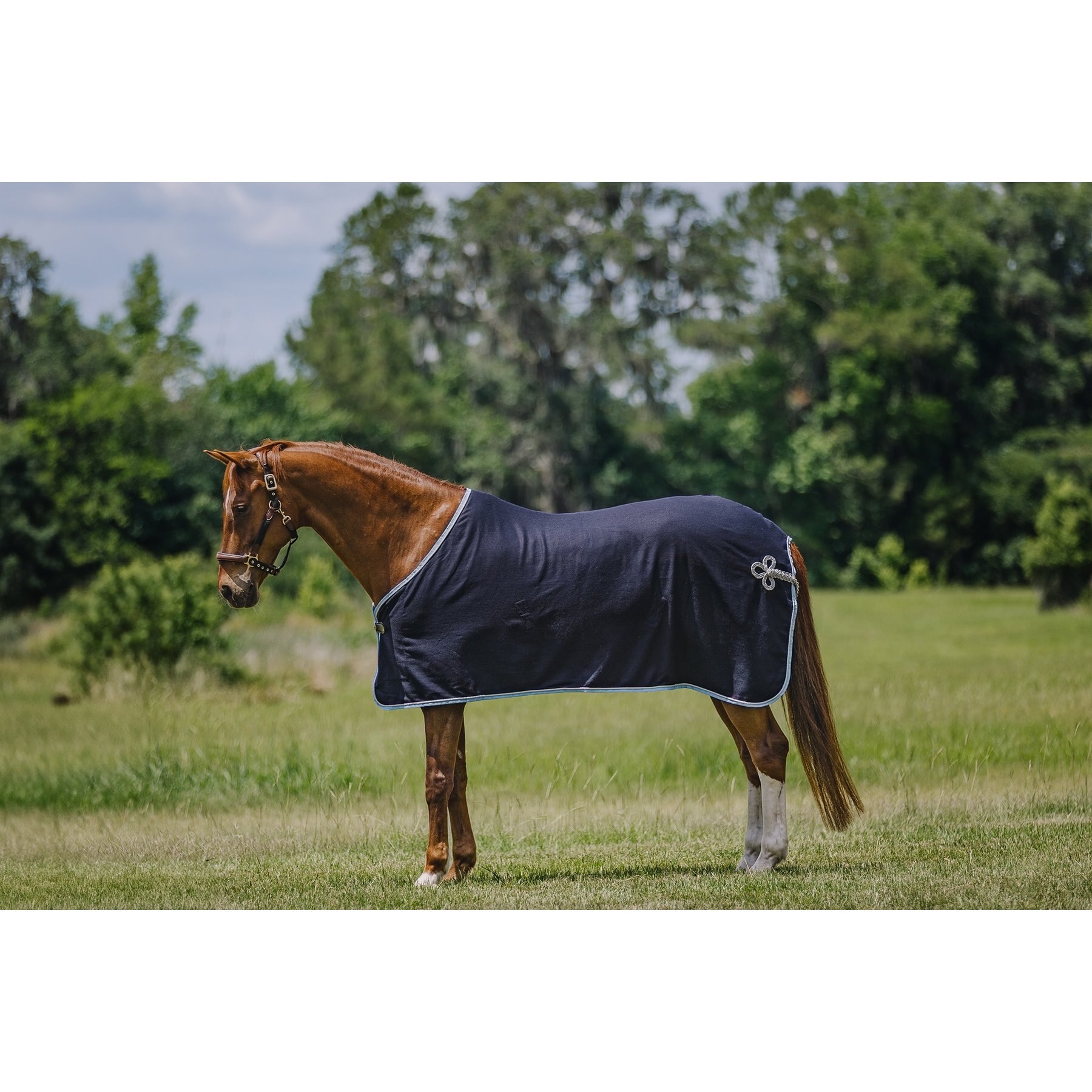 Centaur Wool Dress Horse Cooler, Navy/Lt Blue/Silver, Pony