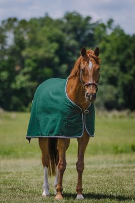 Show full view: Centaur Wool Dress Horse Cooler, Hunter/Navy/Silver, X-Large Horse slide 2 of 5