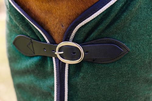 Show full view: Centaur Wool Dress Horse Cooler, Hunter/Navy/Silver, X-Large Horse slide 3 of 5