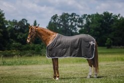 Centaur Wool Dress Horse Cooler, Charcoal/Lt Blue/Silver, Large Horse slide 1 of 4