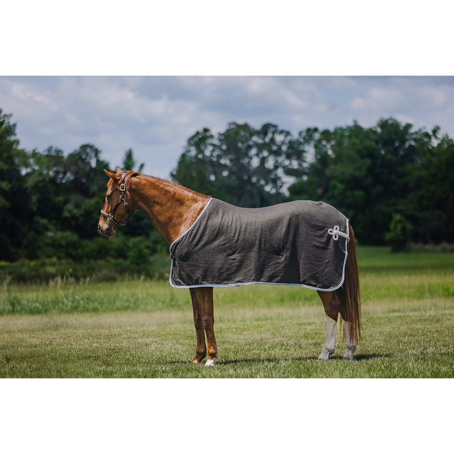 Centaur Wool Dress Horse Cooler, Charcoal/Lt Blue/Silver, Horse
