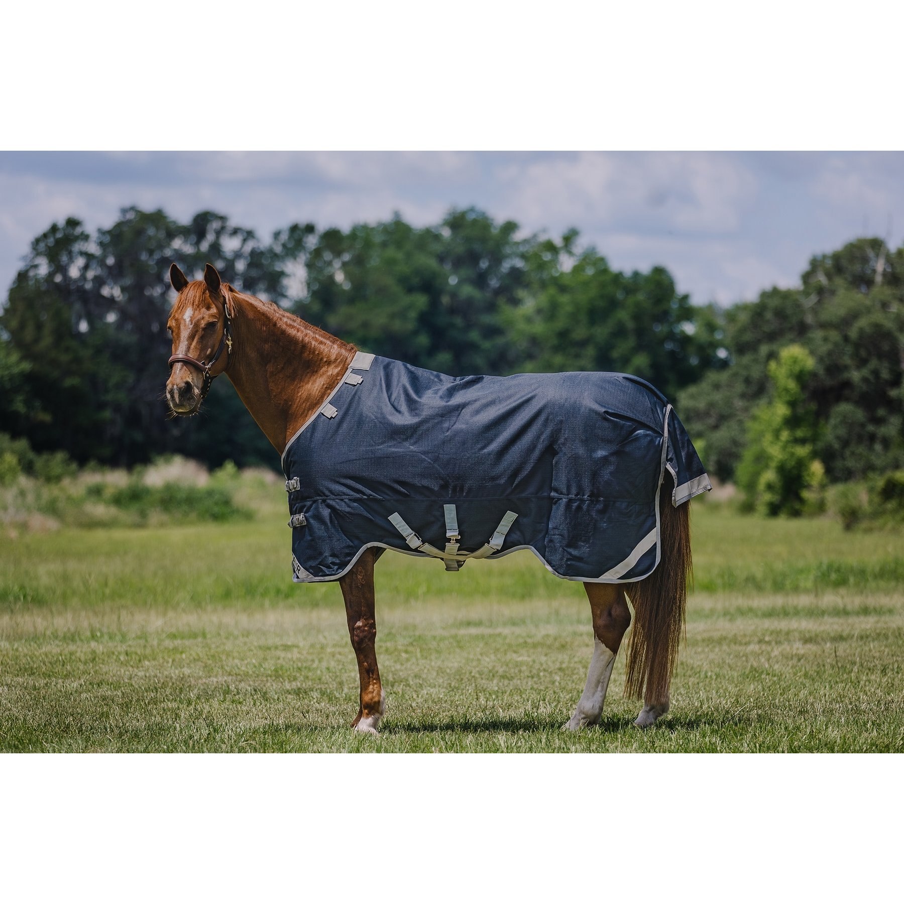 Centaur TG1 Horse Blanket, Navy, 87