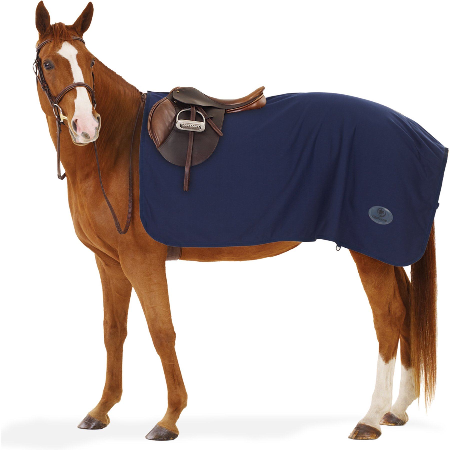 Centaur Turbo-Dry Exercise Horse Sheet, Navy, Pony