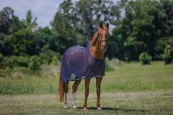 Centaur Scrim Dress Horse Sheet, Dark Navy, Pony slide 2 of 5