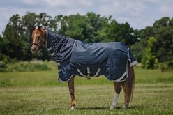 Centaur T Series Horse Turnout Neck Cover 200G, Navy, Pony