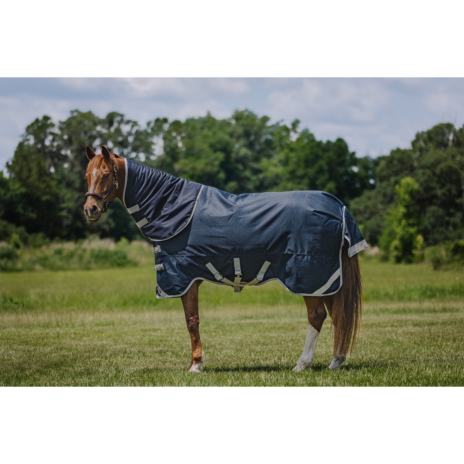 Centaur T Series Horse Turnout Neck Cover 200G, Navy, OS