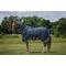 Show in main carousel: Centaur T Series Horse Turnout Neck Cover 200G, Navy, Horse slide 1 of 3