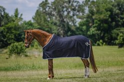 Centaur Wool Dress Horse Cooler, Navy/Lt Blue/Silver, Large Horse