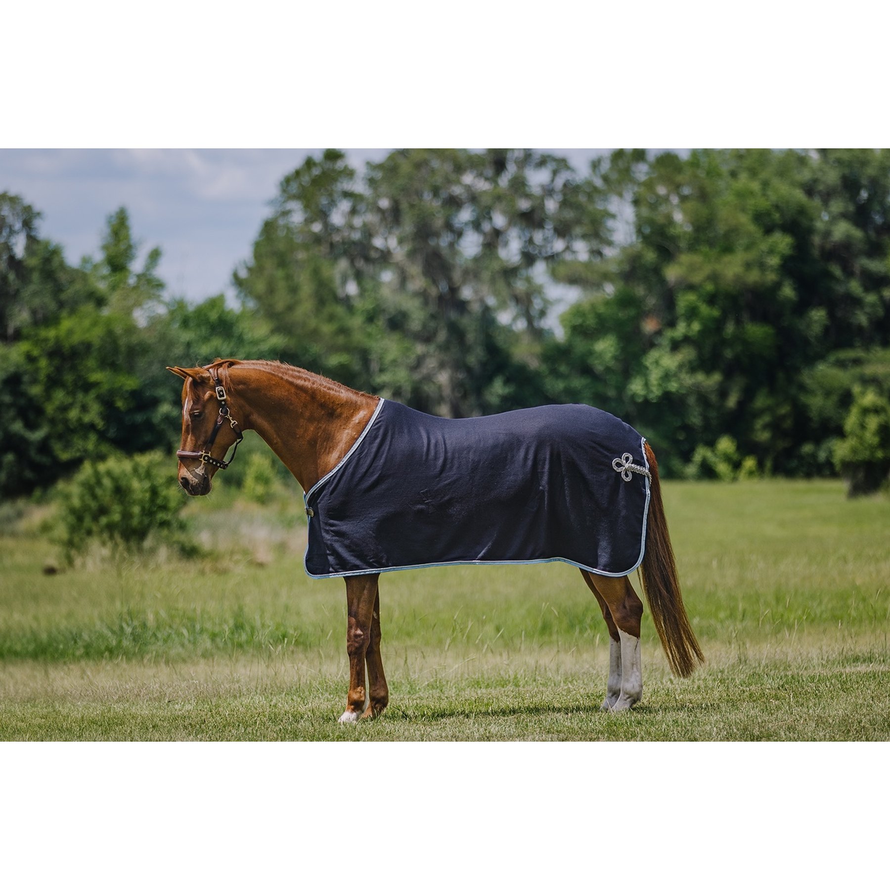 Centaur Wool Dress Horse Cooler, Navy/Lt Blue/Silver, Large Horse