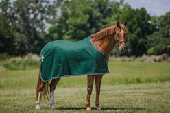 Centaur Wool Dress Horse Cooler, Hunter/Navy/Silver, Large Horse