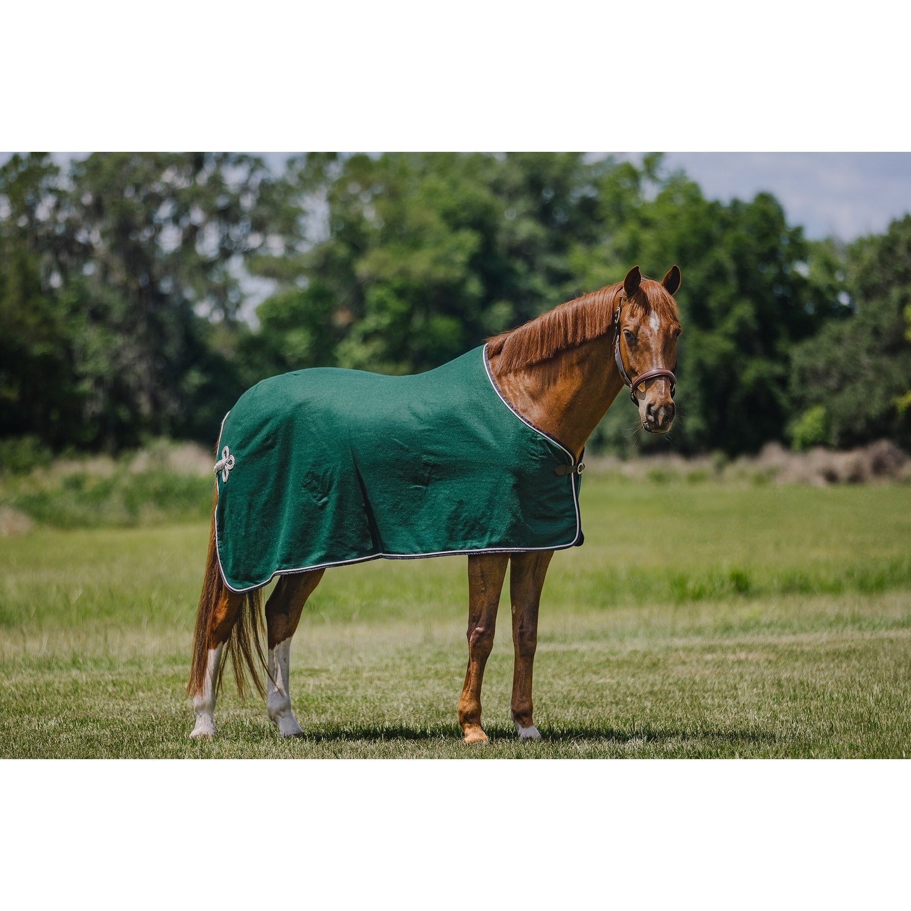 Centaur Wool Dress Horse Cooler, Hunter/Navy/Silver, Horse