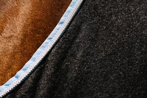 Show full view: Centaur Wool Dress Horse Cooler, Charcoal/Lt Blue/Silver, Horse slide 4 of 4