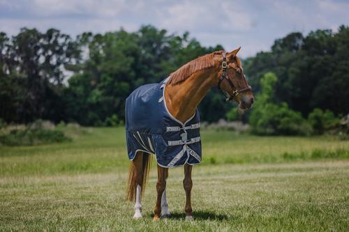 Show full view: Centaur TG3 Horse Blanket, Navy, 78 slide 2 of 5