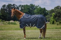 Centaur TG2 Horse Blanket, Navy, 81