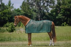 Centaur Scrim Dress Horse Sheet, Hunter Green, Pony