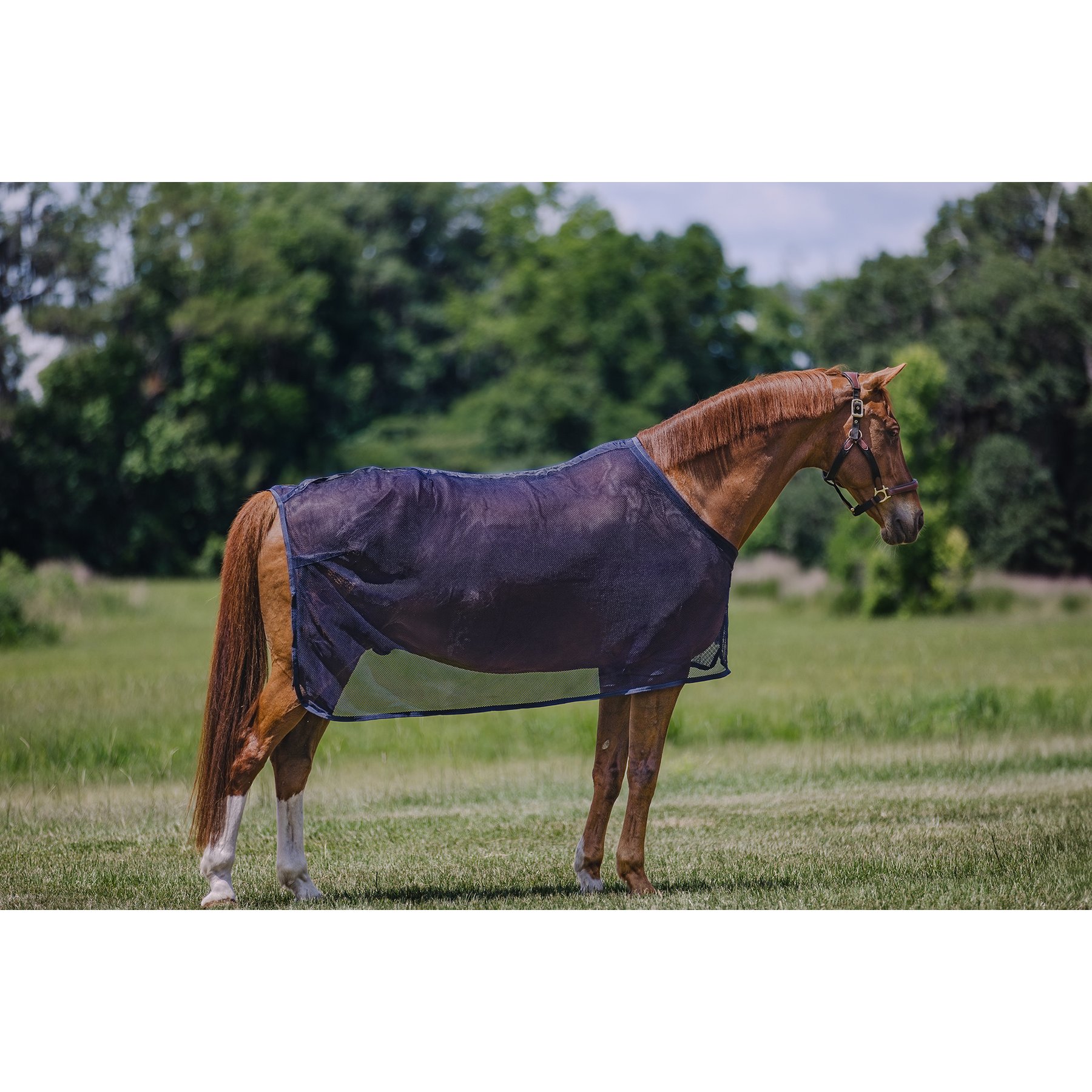 Centaur Scrim Dress Horse Sheet, Dark Navy, Pony
